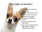 Saugus elgesys su gyvūnais (dalyvauti kuriant saugią, darnią aplinką sau, bendruomenei ir gyvūnams)  3 puslapis