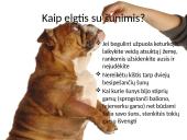 Saugus elgesys su gyvūnais (dalyvauti kuriant saugią, darnią aplinką sau, bendruomenei ir gyvūnams)  4 puslapis