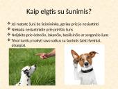 Saugus elgesys su gyvūnais (dalyvauti kuriant saugią, darnią aplinką sau, bendruomenei ir gyvūnams)  5 puslapis