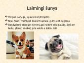 Saugus elgesys su gyvūnais (dalyvauti kuriant saugią, darnią aplinką sau, bendruomenei ir gyvūnams)  6 puslapis