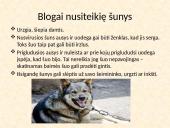 Saugus elgesys su gyvūnais (dalyvauti kuriant saugią, darnią aplinką sau, bendruomenei ir gyvūnams)  7 puslapis
