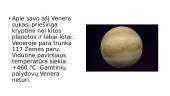Venera pristatymas 5 puslapis