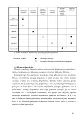Transporto - ekspedicinės operacijos 15 puslapis