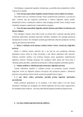 Transporto - ekspedicinės operacijos 16 puslapis