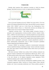 Transporto - ekspedicinės operacijos 18 puslapis