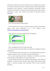 Transporto - ekspedicinės operacijos 20 puslapis