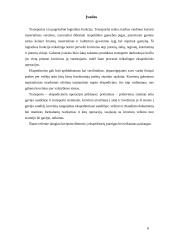 Transporto - ekspedicinės operacijos 3 puslapis