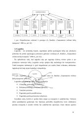 Transporto - ekspedicinės operacijos 8 puslapis