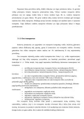 Transporto ekonomija 11 puslapis