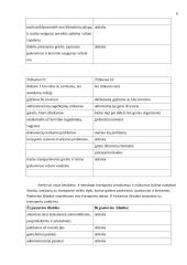 Transporto ekonomija 4 puslapis