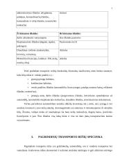Transporto ekonomija 5 puslapis