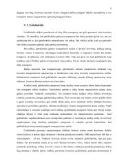 Transporto ekonomija 7 puslapis