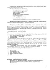 Transportas ir transporto geografija 3 puslapis