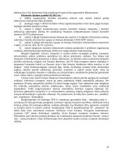 Sausumos transporto prognozės 20 puslapis