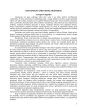 Sausumos transporto prognozės 3 puslapis