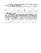 Sausumos transporto prognozės 4 puslapis