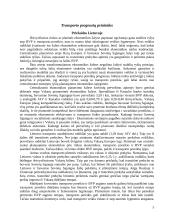 Sausumos transporto prognozės 5 puslapis