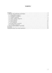 Transporto organizavimas logistikoje 2 puslapis