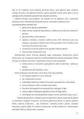 Transporto organizavimas logistikoje 11 puslapis