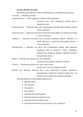 Transporto organizavimas logistikoje 12 puslapis