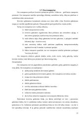 Transporto organizavimas logistikoje 13 puslapis