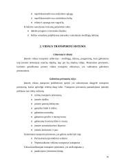 Transporto organizavimas logistikoje 16 puslapis