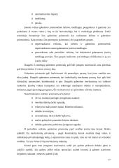 Transporto organizavimas logistikoje 17 puslapis