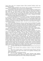 Transporto paslaugos vystymo svarba Lietuvos ūkiui 15 puslapis