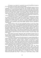 Transporto paslaugos vystymo svarba Lietuvos ūkiui 19 puslapis