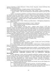 Transporto paslaugos vystymo svarba Lietuvos ūkiui 20 puslapis