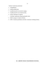 Transporto rūšys naudojamos prekių pervežimams 11 puslapis