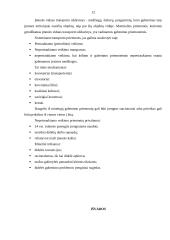 Transporto rūšys naudojamos prekių pervežimams 12 puslapis