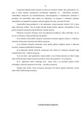 Transporto rūšys naudojamos prekių pervežimams 13 puslapis