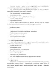 Transporto rūšys naudojamos prekių pervežimams 7 puslapis