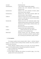 Transporto rūšys naudojamos prekių pervežimams 9 puslapis