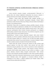 Transporto sistema: bendras teorinis vertinimas 12 puslapis