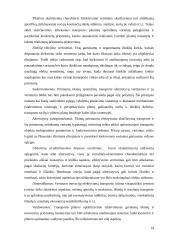 Transporto sistema: bendras teorinis vertinimas 13 puslapis