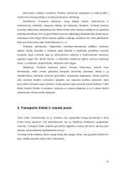 Transporto sistema: bendras teorinis vertinimas 14 puslapis