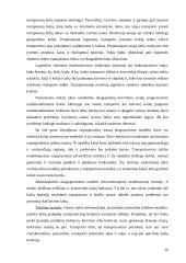Transporto sistema: bendras teorinis vertinimas 18 puslapis