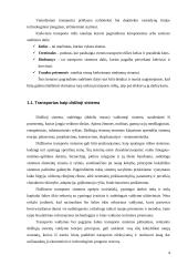 Transporto sistema: bendras teorinis vertinimas 3 puslapis