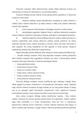 Transporto sistema: bendras teorinis vertinimas 4 puslapis