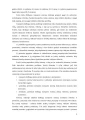 Transporto sistema: bendras teorinis vertinimas 5 puslapis