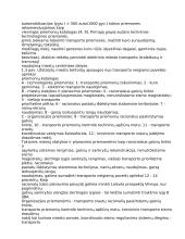 Transporto tarša ir jos poveikio aplinkai mažinimas. Triukšmas 11 puslapis