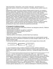 Transporto tarša ir jos poveikio aplinkai mažinimas. Triukšmas 4 puslapis