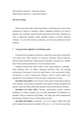 Transporto vieta logistikos sistemoje 2 puslapis