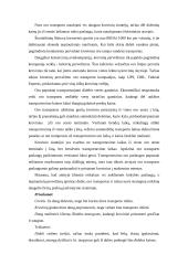 Transporto vieta logistikos sistemoje 11 puslapis