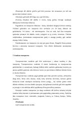 Transporto vieta logistikos sistemoje 12 puslapis