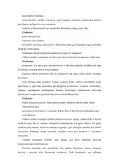 Transporto vieta logistikos sistemoje 13 puslapis