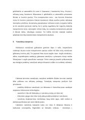 Transporto vieta logistikos sistemoje 14 puslapis