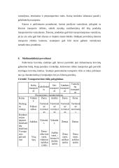 Transporto vieta logistikos sistemoje 15 puslapis